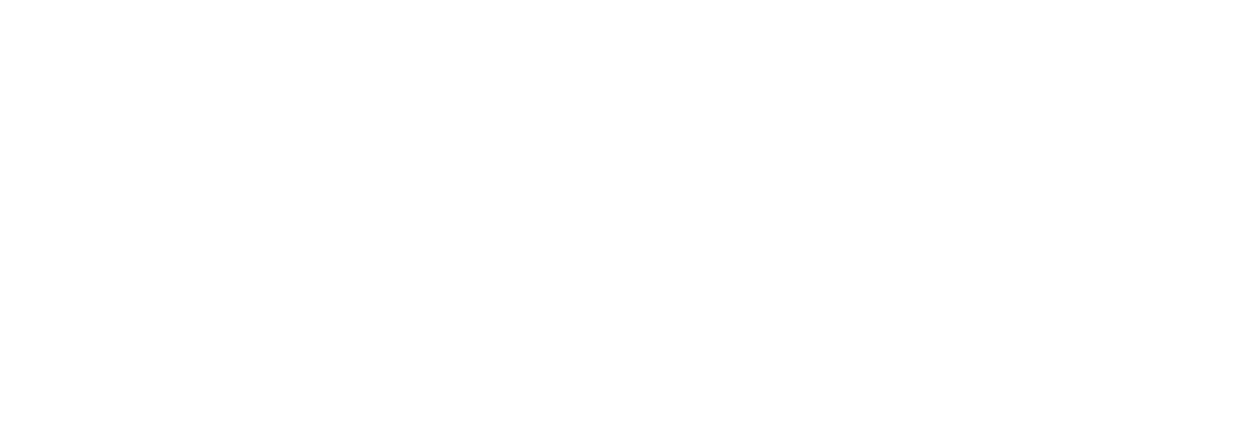logo Timac