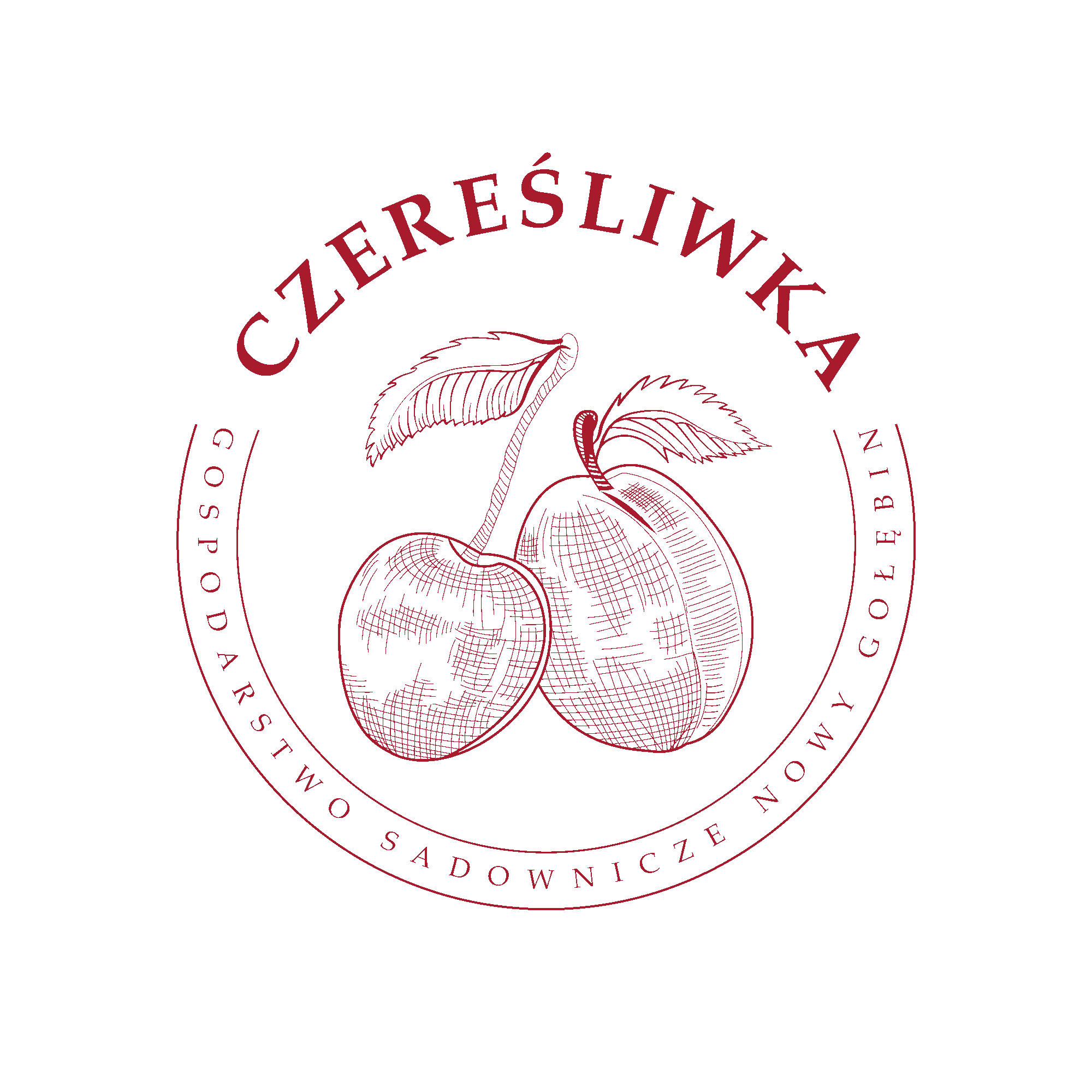 logo in the background